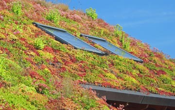 Gawthwaite living roof systems